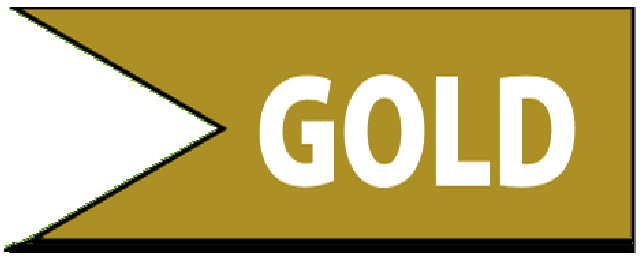 annonce auto Gold
